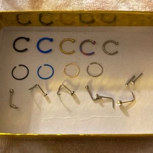 17 piece Stainless Steel Variety Nose Rings